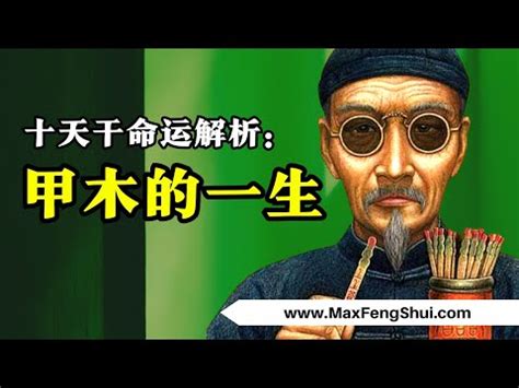 震木命|【震木命】震木命：揭密內藏巽震卦氣質，解析個性與。